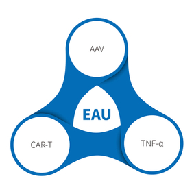 Uveitis (О-eiu) -Н