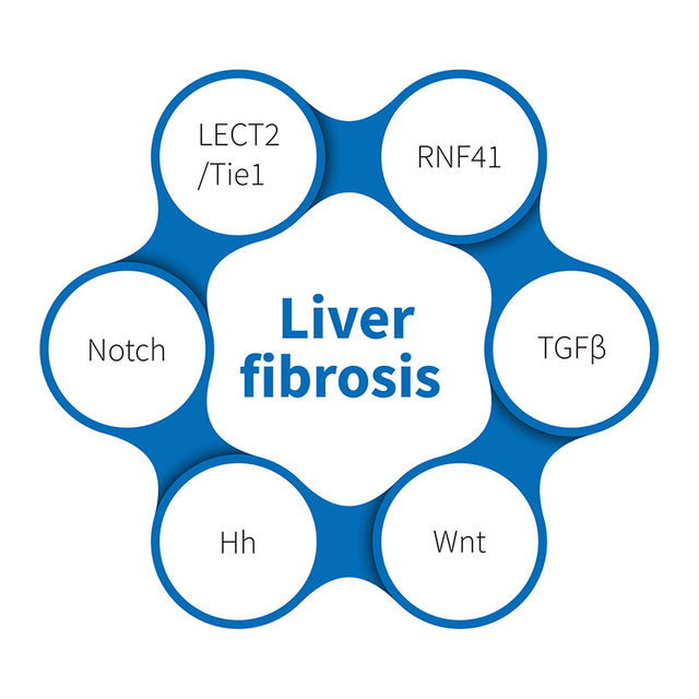 تليف الكبد -NHP