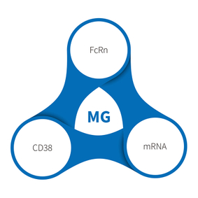 myasthenia gravis-nhp