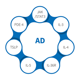 Viêm da dị ứng-NHP