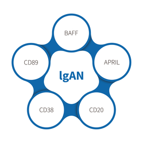 IgA נפרופתיה