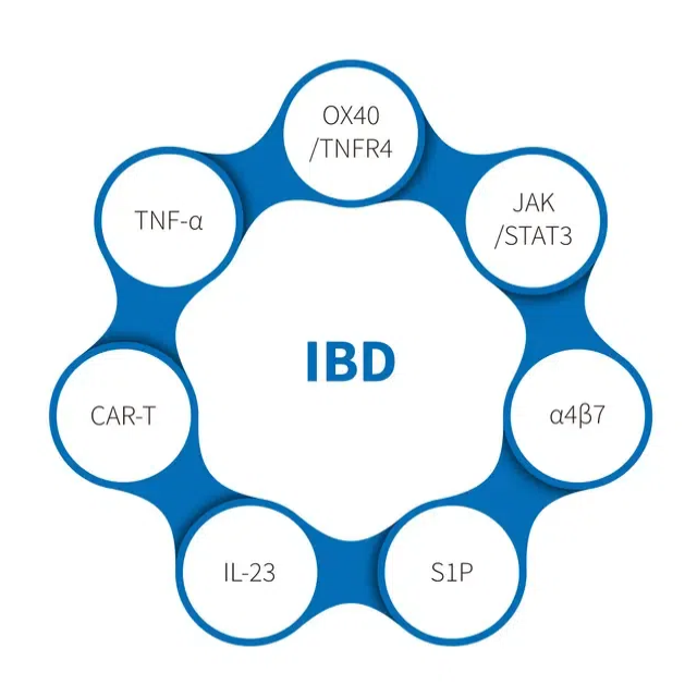 Jak model zapalenia jelita grubego wywołanego DSS ułatwia badania nad IL-23