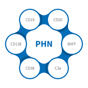 הימן נפריטיס פסיבי