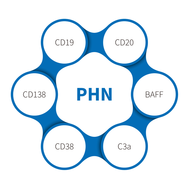 Pasivní heymannova nefritida
