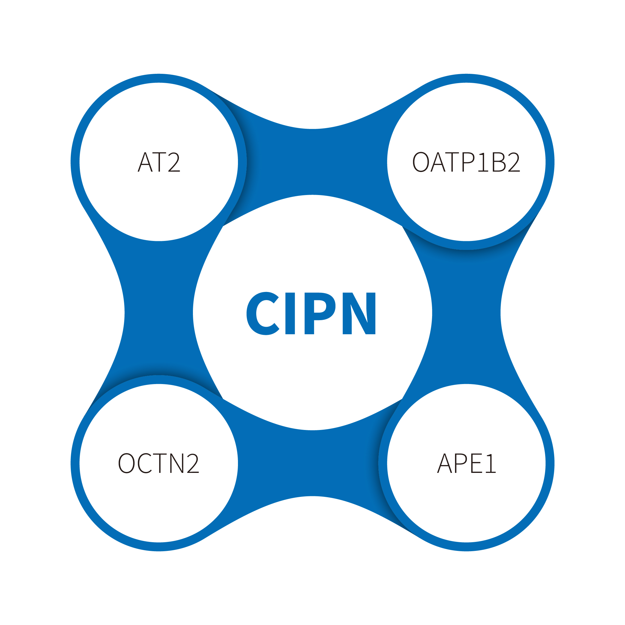 IBD မော်ဒယ်များတွင် DAI ရမှတ်၏အခန်းကဏ် role ကိုစူးစမ်းလေ့လာခြင်း - ရောဂါပြင်းထန်မှုနှင့်ကုသမှုဆိုင်ရာထိရောက်မှုရှိသည်