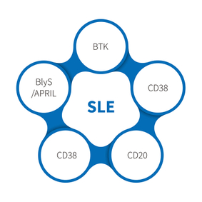 Lupus Sistéamach Erythematosus-NHP