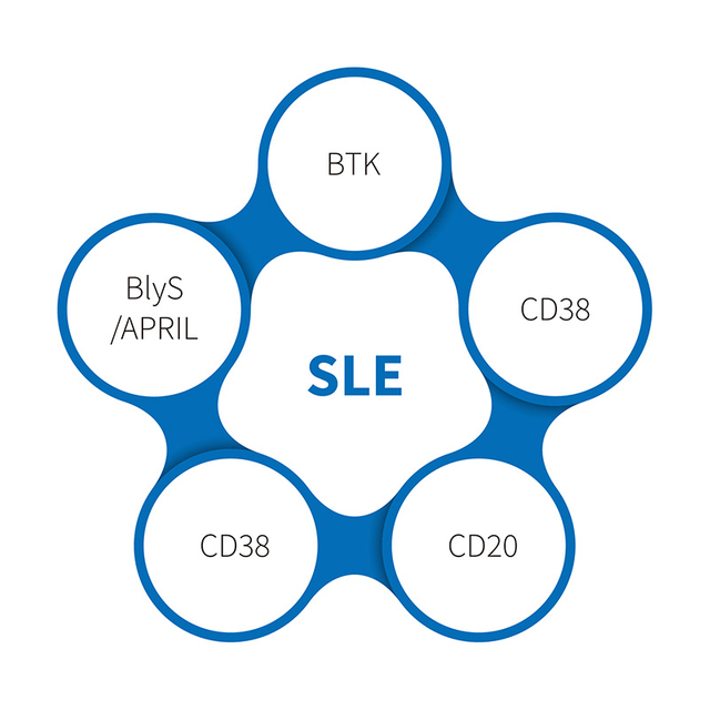 Systemisk lupus erythematosus-NHP