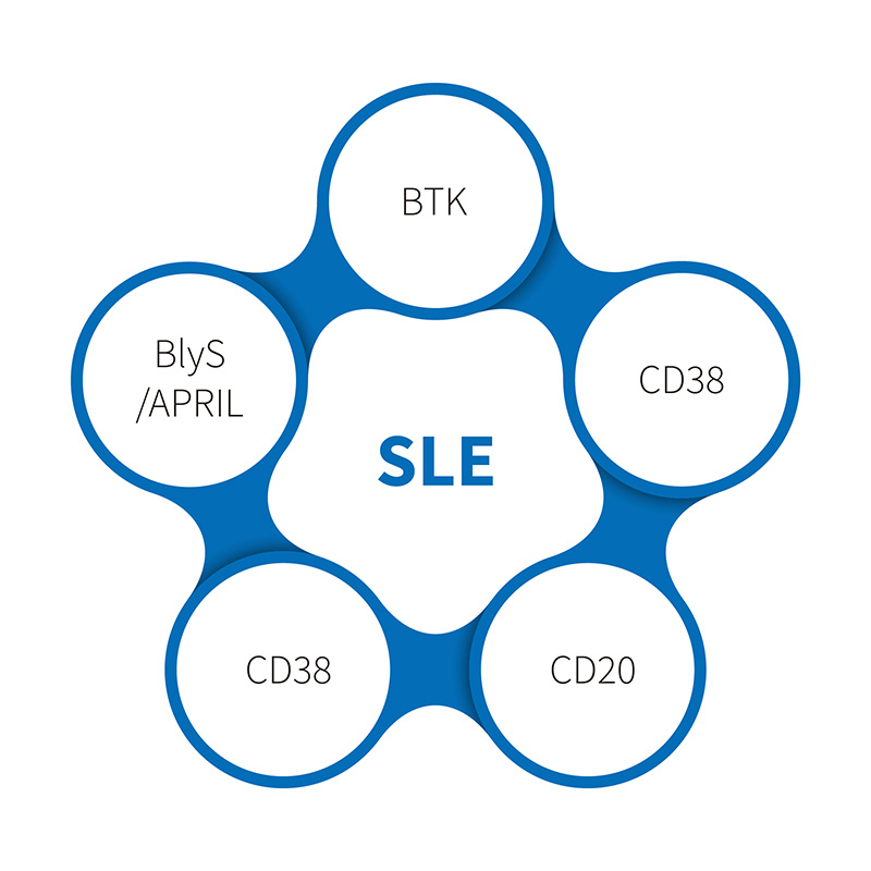 Понимание роли дцДНК в исследованиях модели SLE