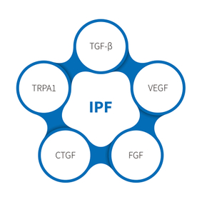 Fiobróis Scamhógach Idiopathic-NHP