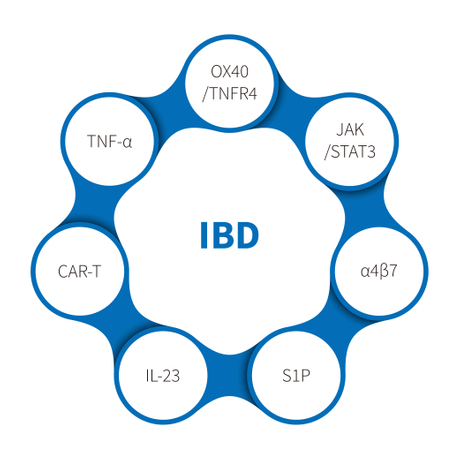 三级分类_Maladie inflammatoire de l'intestin.jpg