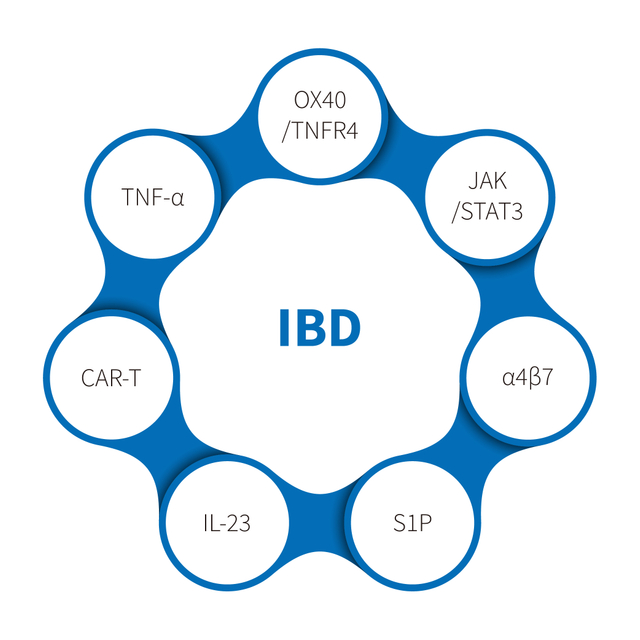 Upalna bolest crijeva