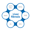 Fibroza jeter