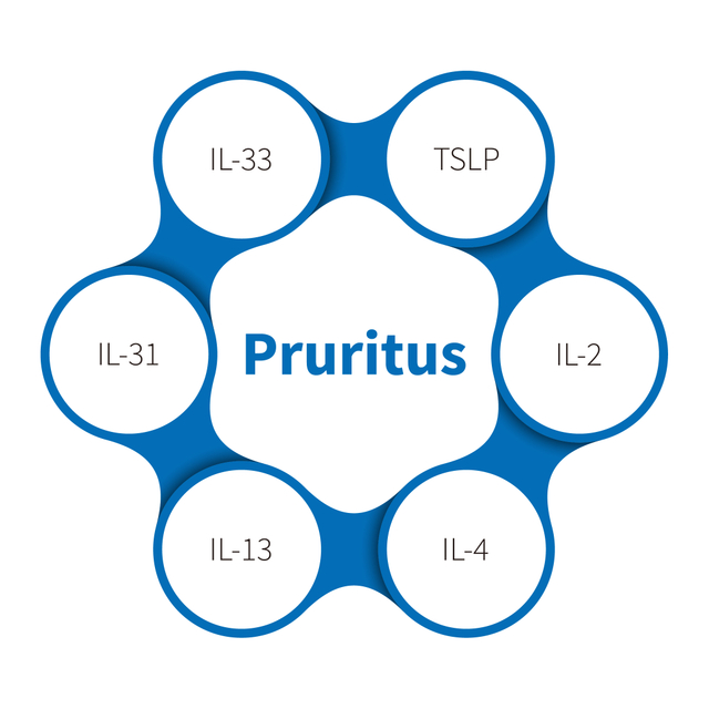 Pruritus 