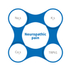 নিউরোপ্যাথিক ব্যথা